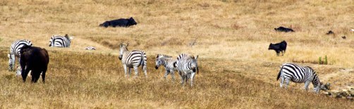Big Sur SP-edit-104-2.jpg