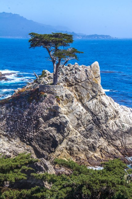 Big Sur SP-edit-37.jpg