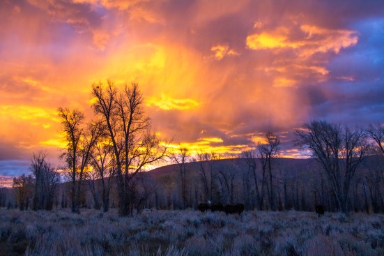 Grand Teton NP-Edit-1181