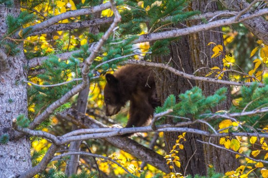 Grand Teton NP-Edit-752